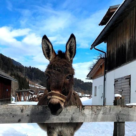 Penzion Hinkerhof Schladming Exteriér fotografie