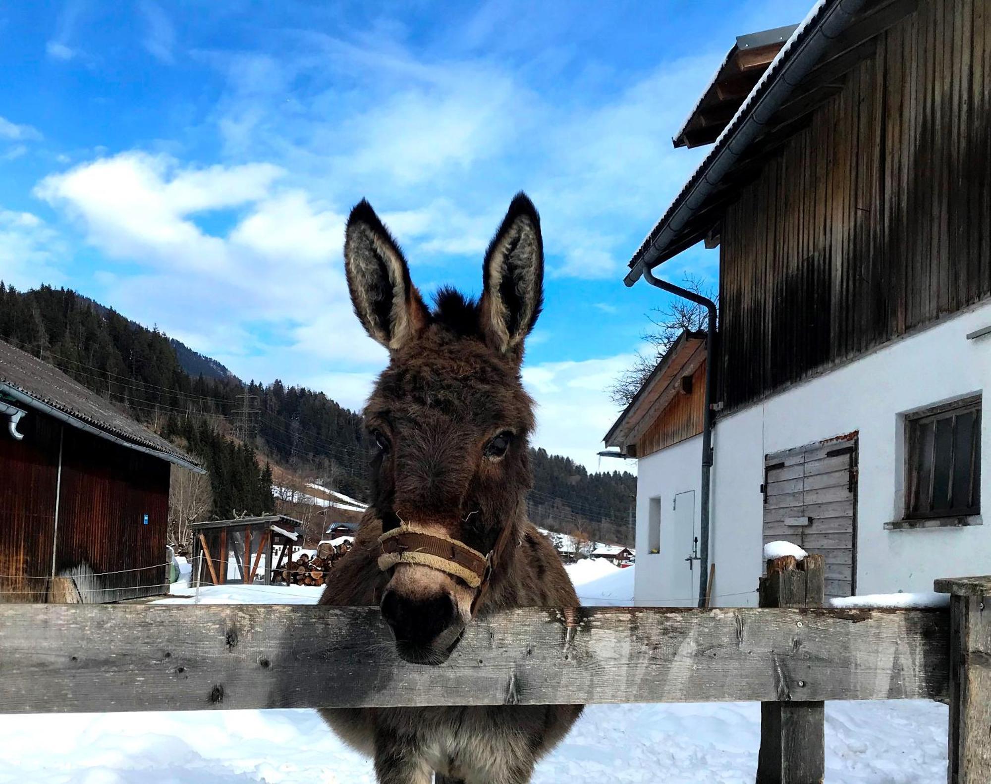 Penzion Hinkerhof Schladming Exteriér fotografie